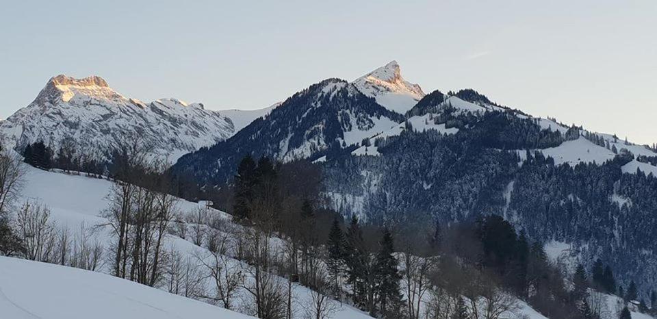 Gasthof Engelberg Hotel Scharnachtal Eksteriør billede